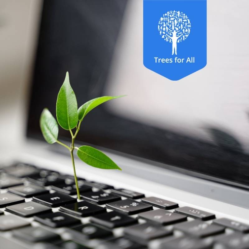 TreesForAll plant in toetsenbord